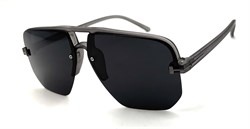 BR1954 C3 POLAR 20497