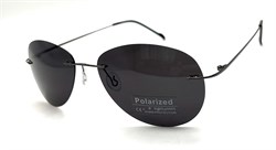 P8001 C1 POLAR 20597