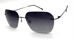 P8003 C2 POLAR 20609