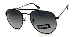 P17069 C3 POLAR 20656