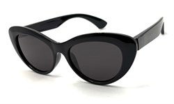 KD6069 C1 52-17-136 POLAR 20761