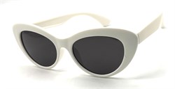 KD6069 C4 52-17-136 POLAR 20763