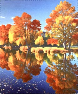 Салфетки Т-026 1120160920