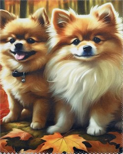 Салфетки Т-10 1618619245