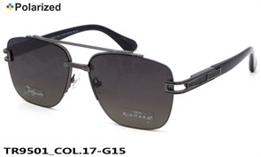TR9501_COL.17-G15 TR9501_COL.17-G15