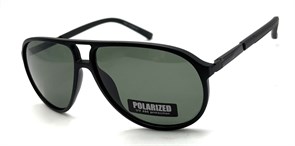 BR8631 C5 POLAR 20565