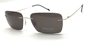 P8002 C6 POLAR 20619