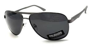 P038 C10 POLAR 20631