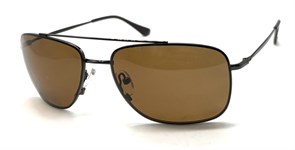 P17165 C4 POLAR 20653