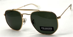 P17069 C2 POLAR 20655