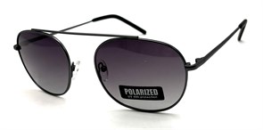 P17102 C2 POLAR 20659