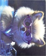 Салфетки Т-019 931944239