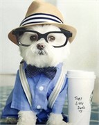 Салфетки Т-08 706979583